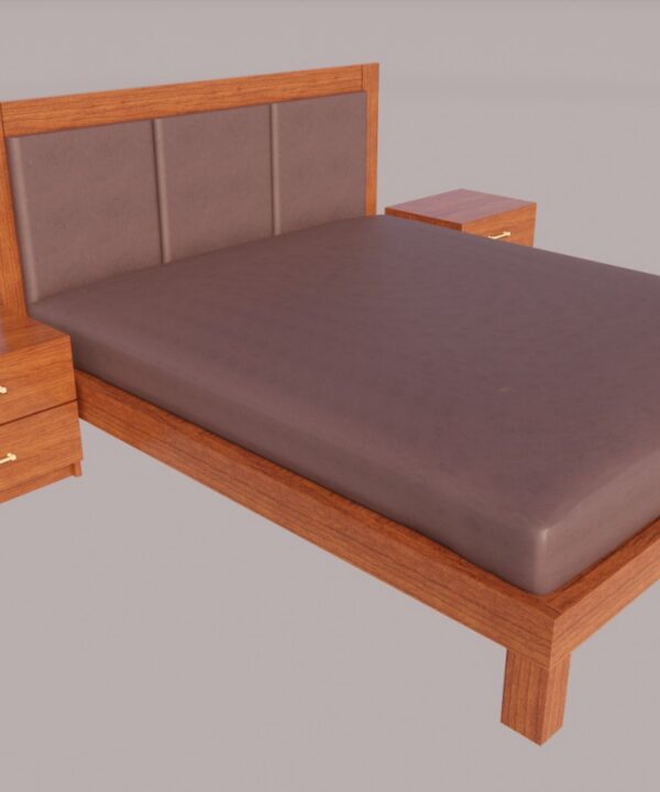 Contemporary Platform Bed