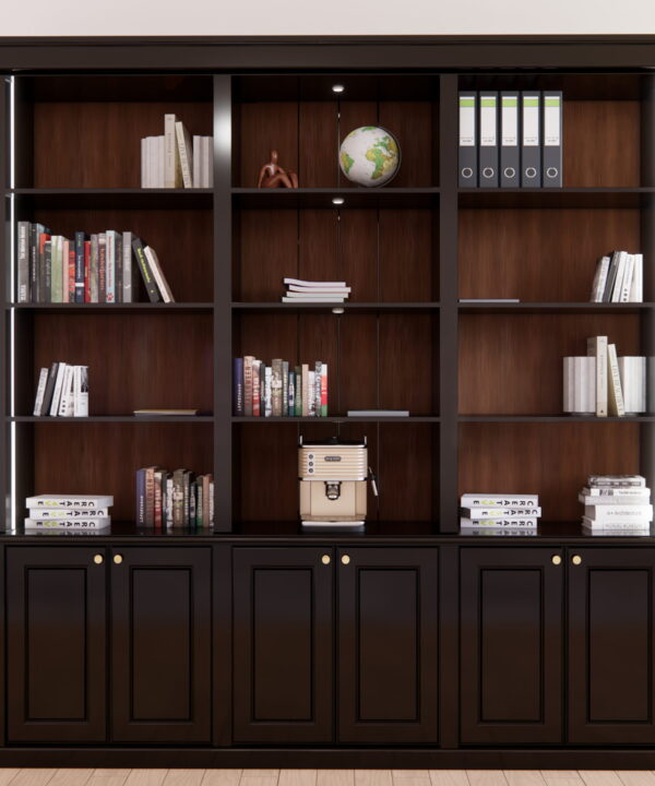 Library Bookcase with Cabinet Base Storage